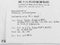 登錄號:F0004229藏品圖，第2張