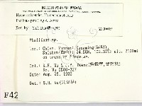 登錄號:F0004230藏品圖，第2張