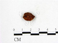 登錄號:F0004230藏品圖，第3張