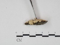 登錄號:F0004231藏品圖，第3張