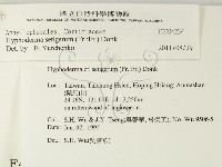 剛毛絲皮菌藏品圖，第2張