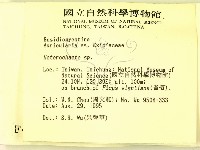 刺皮菌屬藏品圖，第2張