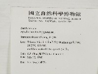登錄號:F0004236藏品圖，第2張