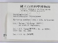 登錄號:F0004240藏品圖，第2張