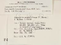 登錄號:F0004243藏品圖，第2張