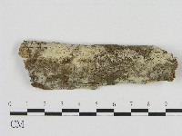 登錄號:F0004243藏品圖，第1張