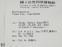 登錄號:F0004244藏品圖，第2張