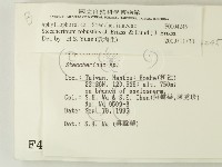 登錄號:F0004245藏品圖，第2張
