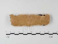 登錄號:F0004245藏品圖，第1張