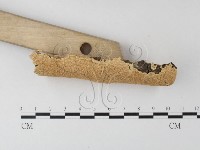 登錄號:F0004245藏品圖，第3張