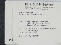 登錄號:F0004247藏品圖，第2張