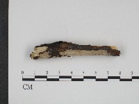 登錄號:F0004247藏品圖，第1張