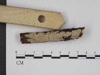登錄號:F0004247藏品圖，第3張