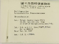 刺革菌屬藏品圖，第2張