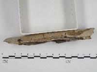 登錄號:F0004249藏品圖，第3張