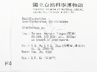 登錄號:F0004250藏品圖，第2張