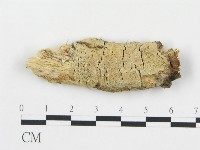 登錄號:F0004250藏品圖，第1張