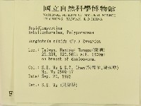 登錄號:F0004252藏品圖，第2張