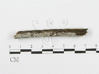 登錄號:F0004253藏品圖，第1張