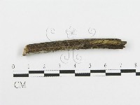 登錄號:F0004253藏品圖，第3張