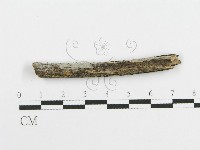 登錄號:F0004253藏品圖，第4張