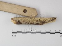 登錄號:F0004254藏品圖，第3張