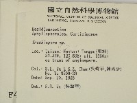 登錄號:F0004256藏品圖，第2張