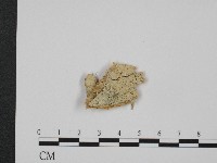 登錄號:F0004256藏品圖，第1張
