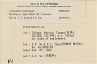 登錄號:F0004256藏品圖，第3張