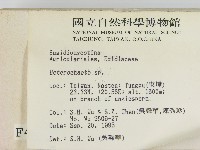 刺皮菌屬藏品圖，第2張