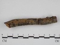 登錄號:F0004261藏品圖，第3張