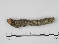登錄號:F0004261藏品圖，第4張