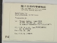 粗糙孢菌屬藏品圖，第2張