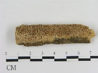 登錄號:F0004263藏品圖，第1張