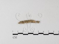 登錄號:F0004264藏品圖，第1張