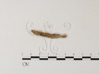 登錄號:F0004264藏品圖，第3張
