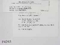 登錄號:F0004265藏品圖，第2張