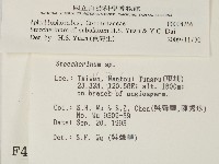 登錄號:F0004266藏品圖，第2張