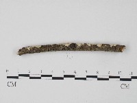 登錄號:F0004266藏品圖，第1張