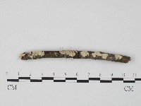 登錄號:F0004266藏品圖，第3張