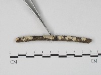 登錄號:F0004266藏品圖，第4張