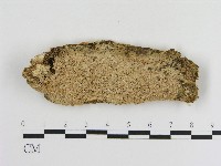 登錄號:F0004267藏品圖，第1張