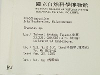 栓菌屬藏品圖，第2張