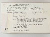 登錄號:F0004269藏品圖，第2張
