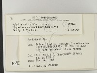登錄號:F0004271藏品圖，第2張