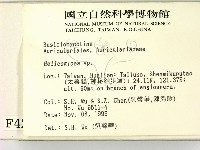 登錄號:F0004272藏品圖，第2張