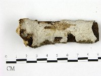 登錄號:F0004272藏品圖，第1張