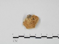 登錄號:F0004273藏品圖，第1張