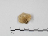 登錄號:F0004273藏品圖，第3張