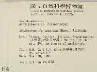 登錄號:F0004275藏品圖，第2張